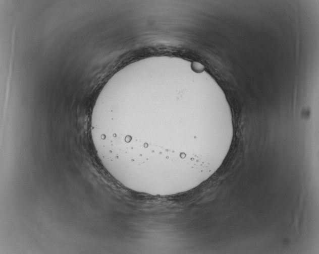 X0000114671061200911181202