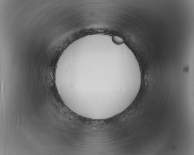 X0000114671062200911181202