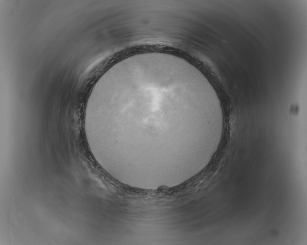 X0000114671064200911181202