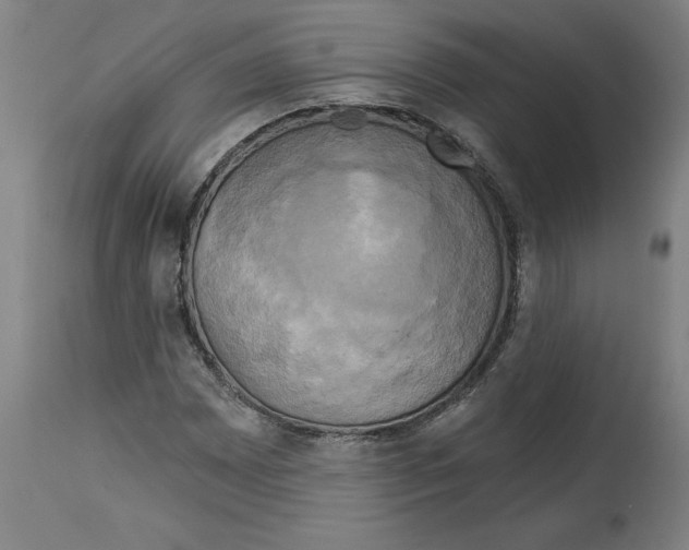 X0000114671065200911181202