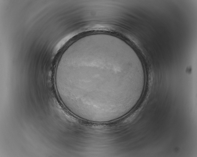 X0000114671066200911181202