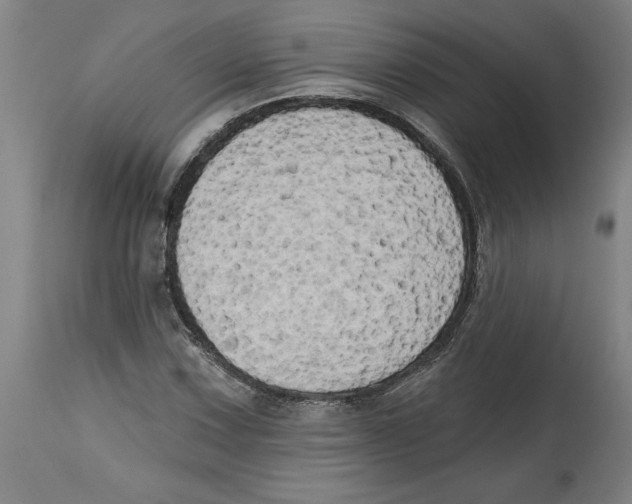 X0000114671067200911181202