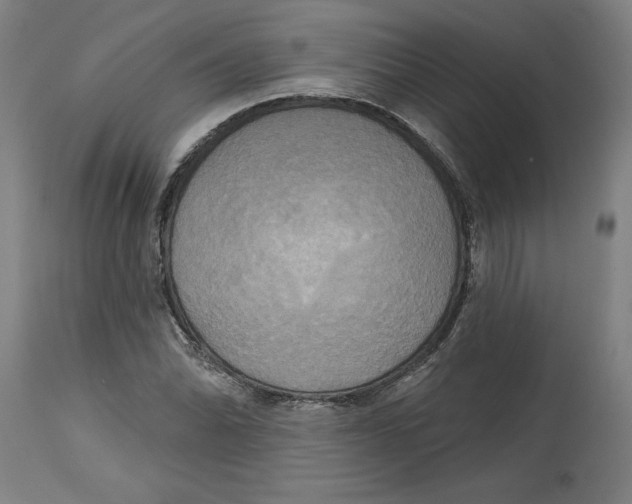 X0000114671070200911181201