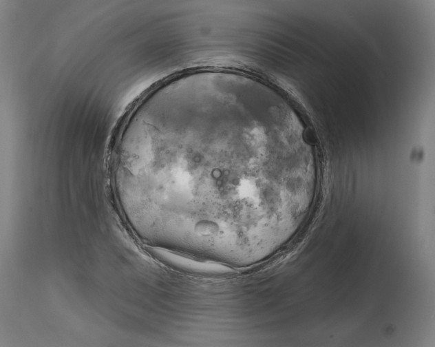 X0000114671071200911181201