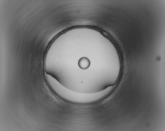 X0000114671073200911181201