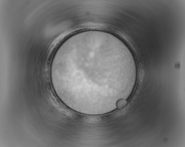 X0000114671074200911181201