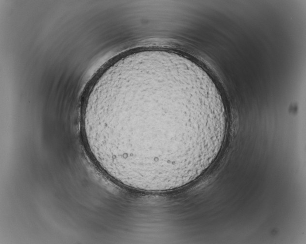 X0000114671075200911181201