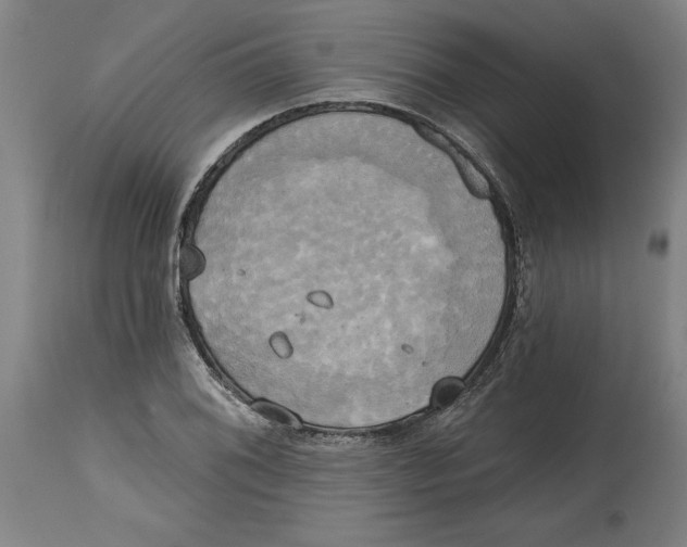 X0000114671076200911181201