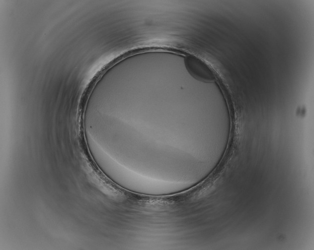 X0000114671077200911181201