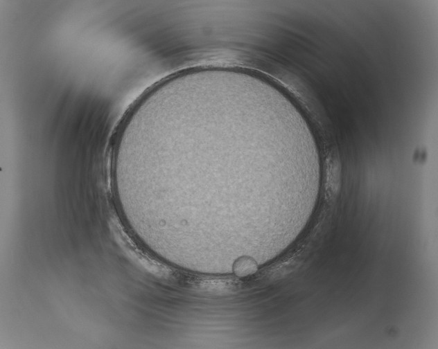 X0000114671078200911181201