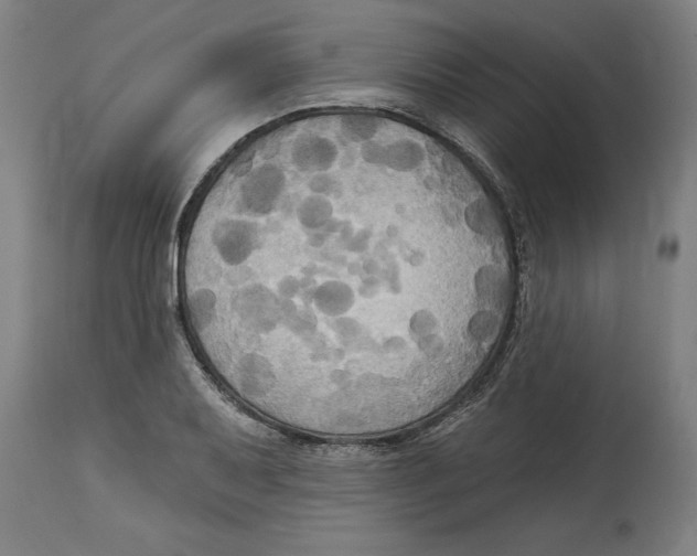 X0000114671079200911181201