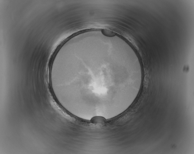 X0000114671080200911181201