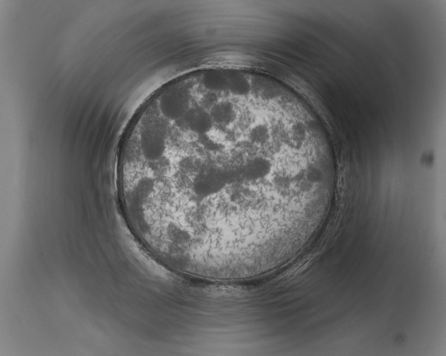 X0000114671083200911181201