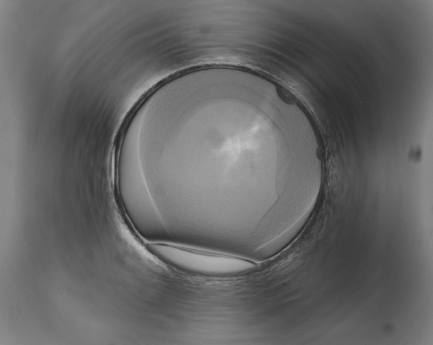 X0000114671084200911181201