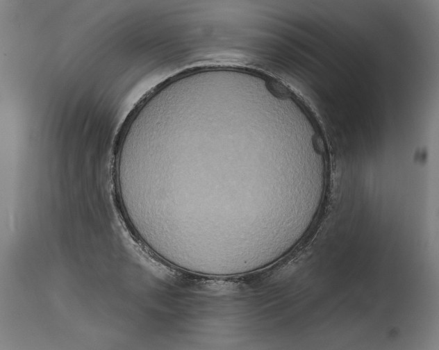 X0000114671085200911181201