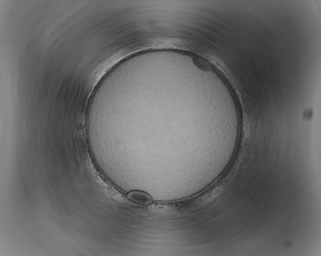 X0000114671089200911181201