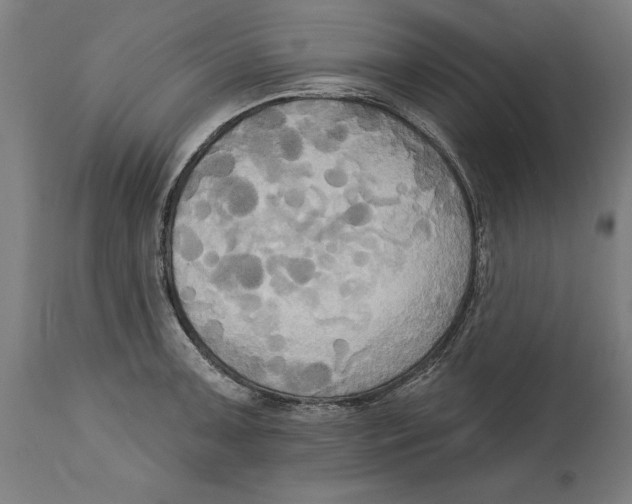 X0000114671091200911181201