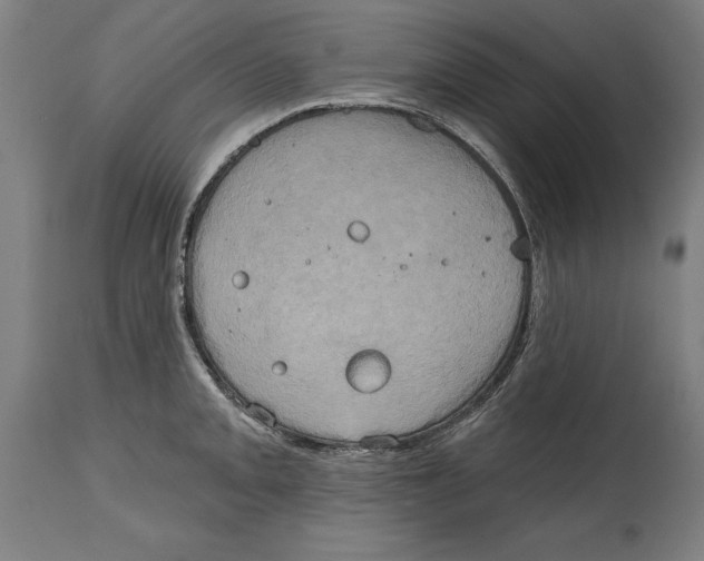 X0000114671093200911181201