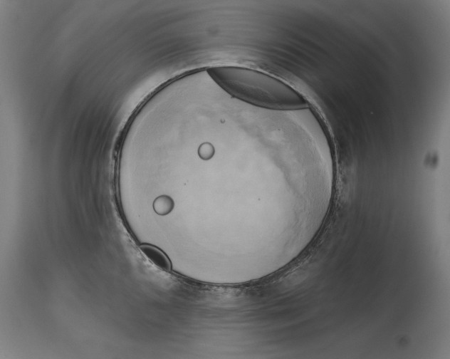 X0000114671096200911181201