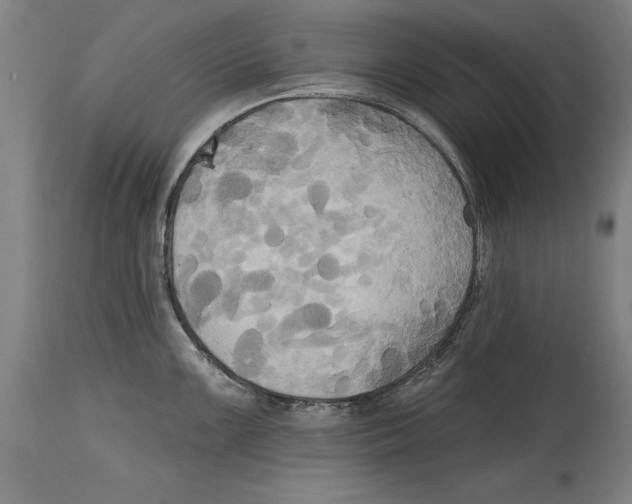 X0000114671099200911181201