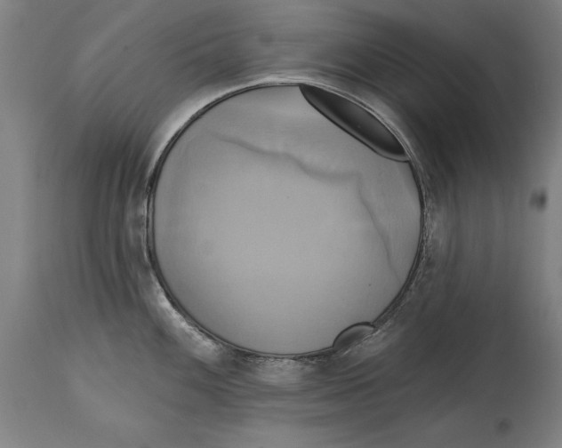 X0000114671100200911181201