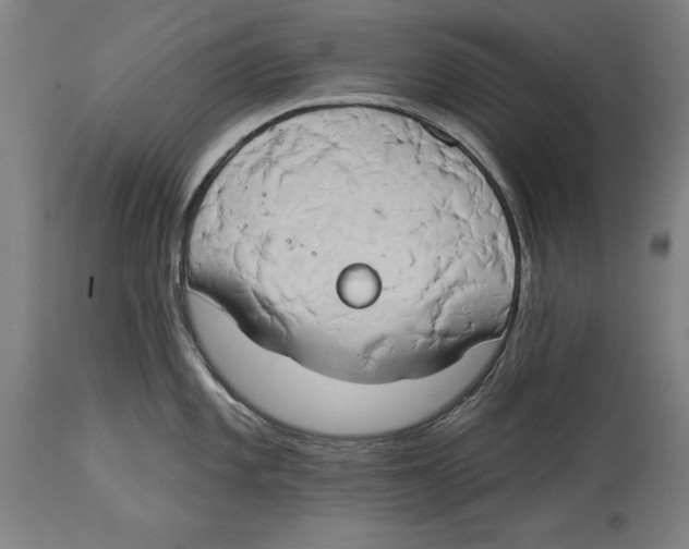 X0000114671101200911181201