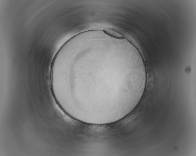 X0000114671103200911181201