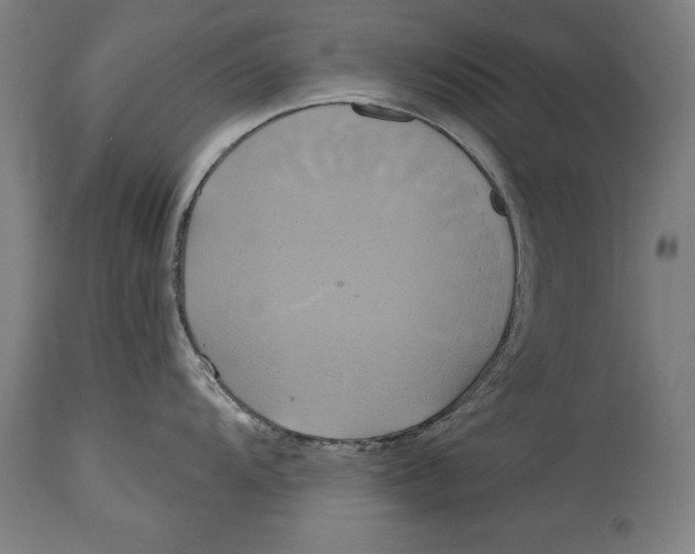 X0000114671104200911181201