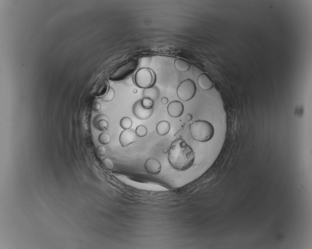 X0000114671106200911181200