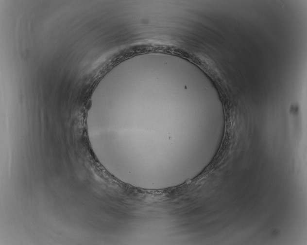 X0000114671110200911181200