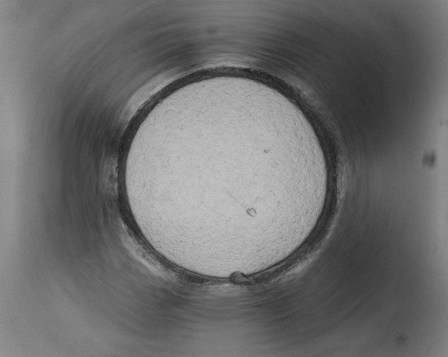 X0000114671113200911181200