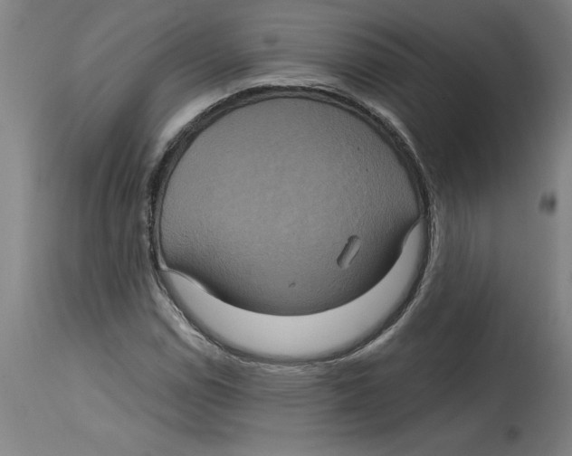 X0000114671114200911181200