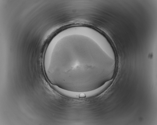 X0000114671115200911181200