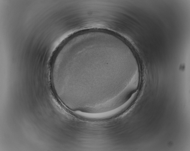 X0000114671118200911181200