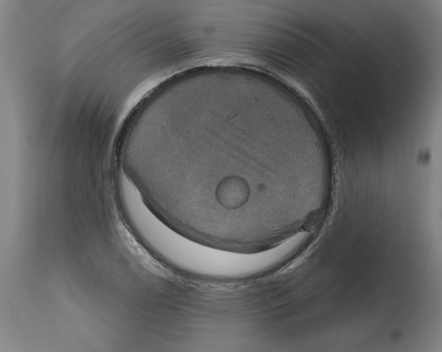 X0000114671122200911181200