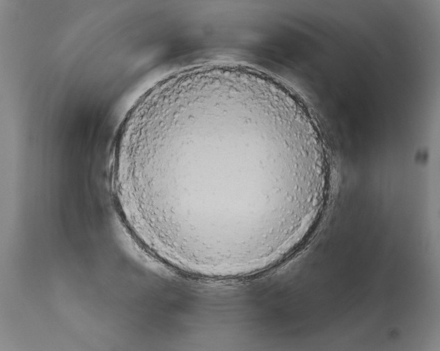 X0000114671126200911181200