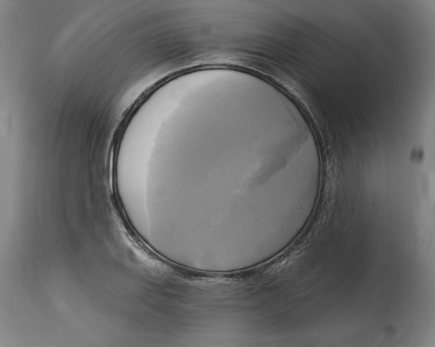 X0000114671127200911181200