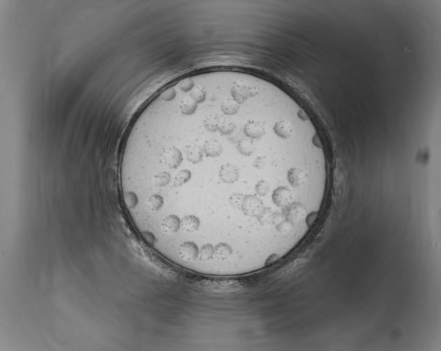 X0000114671129200911181200