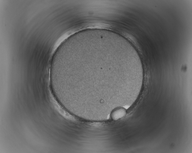 X0000114671130200911181200