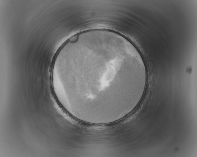 X0000114671134200911181201