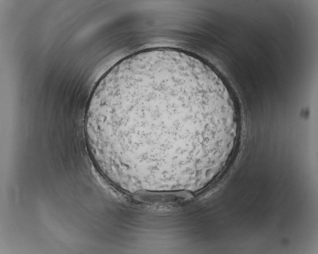 X0000114671137200911181201