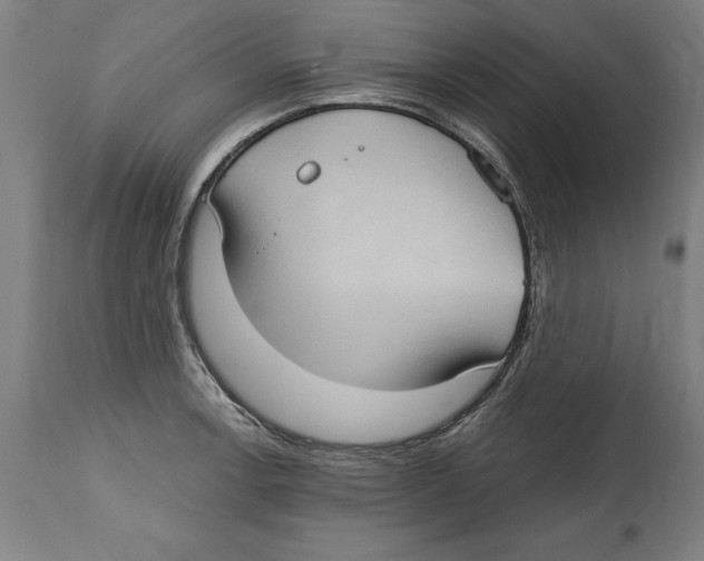 X0000114671138200911181201