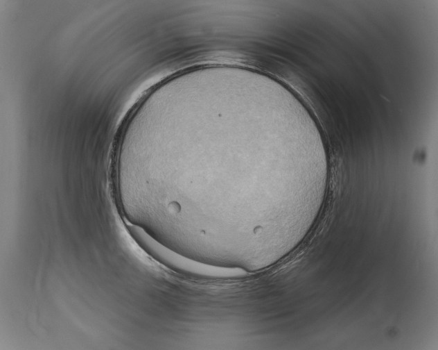 X0000114671139200911181201