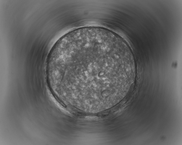 X0000114671142200911181201