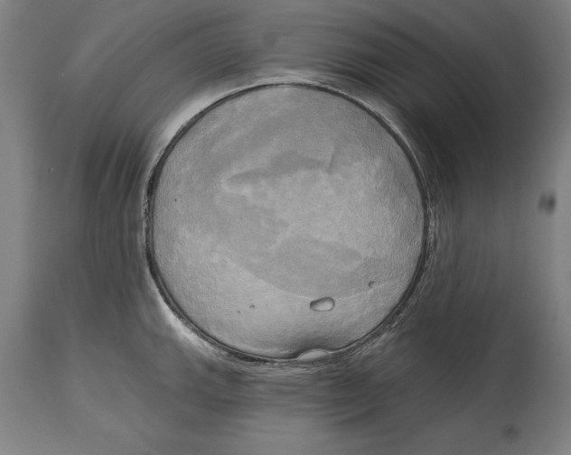 X0000114671143200911181201