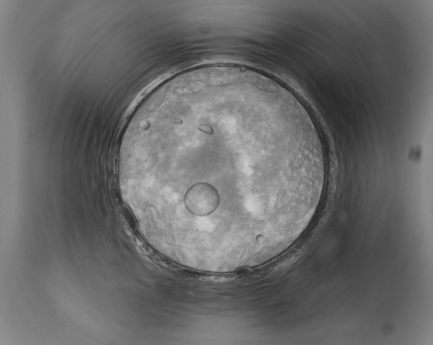 X0000114671145200911181201