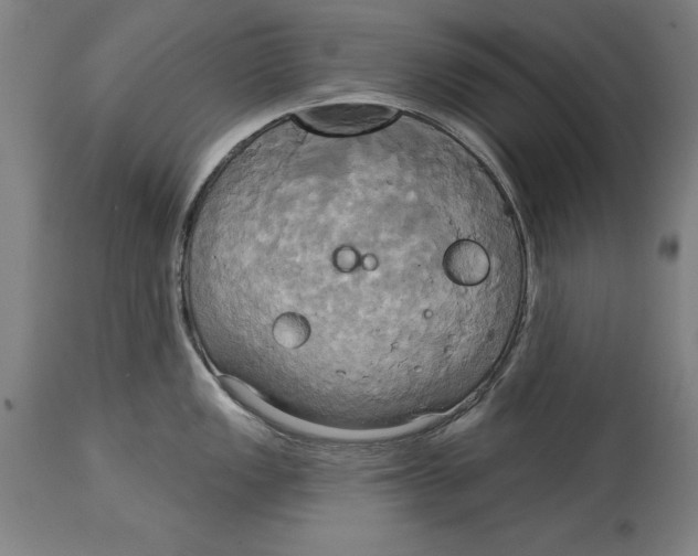 X0000114671149200911181201