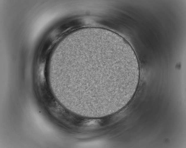 X0000114671150200911181201