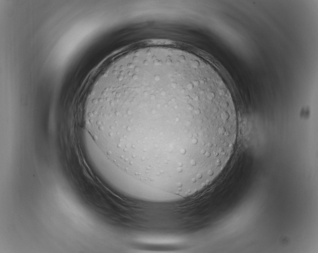 X0000114671151200911181201