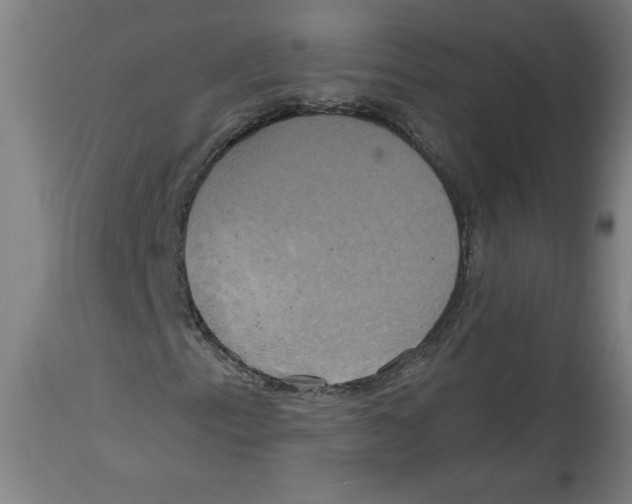 X0000114671153200911181200